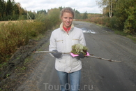 Попытка стащить карельский мох на Ленинградскую землю. Весной узнАем, прижился ли на даче. Грибы + МОХ