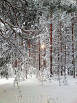 30.12.2010