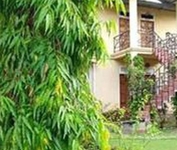Machan Paradise View