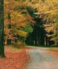 Фото Beau Site