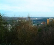 Excel City