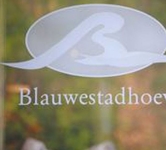 B&B Blauwestadhoeve