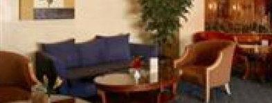 Tulip Inn Olaya House