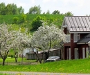 Фото Villa Sofia