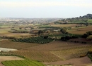 Фото Point de Vue
