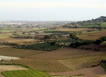 Point de Vue