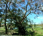 Costa Verde at Palmas Del Mar