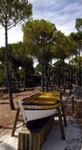 Aldeamento Turistico Quinta dos Moinhos de Sao Filipe