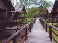 Bilit Rainforest Lodge