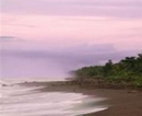 Фото Pachira Lodge Tortuguero