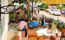 Фото Lao Silk Hotel