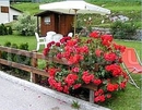 Фото Garni Maso Mistrin