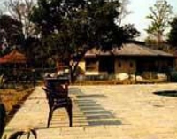 Фото отеля Rhino Residency Resort Chitwan