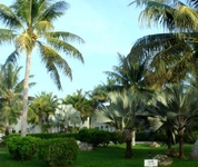 Rota Resort