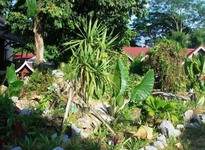 Phongsavanh Resort