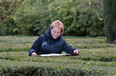 В саду имеется лабиринт из низко-подстриженных кустов. Вот, выдали карту, чтоб не заблудилась :) В саду имеется лабиринт из низко-подстриженных кустов. Вот, выдали карту, чтоб не заблудилась :)