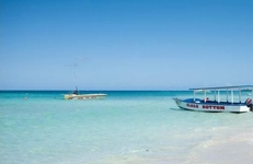 Negril Tree House Resort