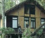 Machan Wildlife Resort