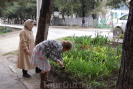 За что я люблю маленькие города: жителям легче воспринять их как свой родной дом. И вот, пожалуйста, субботник, жители возле своих домов жгут опавшую хвою ...