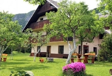 Apartmaji Arh