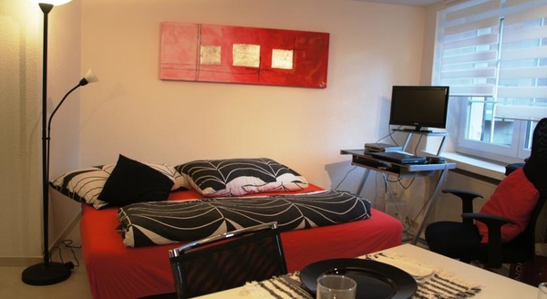 Studio-Appartment Horgen