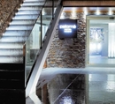 Фото Palome