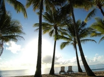 Alamanda Palm Cove by Lancemore