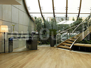 Фото Daios Luxury Living