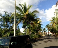 Фото отеля Villas At Palmas Фото отеля Villas At Palmas