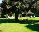 Фото Albergo Gardenia