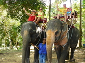 Прогулка на слониках в Номуанг 2