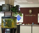 Фото Dacia (Дасия)