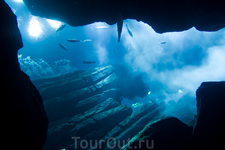 Аквариум в Дубай Молле