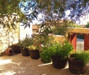 Фото Vouni Lodge