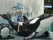 Sea World