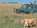 Фото Sarova Mara Game Camp