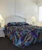 Фото Quality Inn Cigatoo