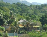Фото отеля Tropical Lodge