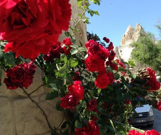 Anatolian Houses Hotel Cappadocia