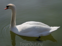 В парке Версаля