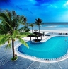 Фото Sunny Paradise Resort