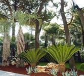 Hotel Globus