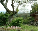 Фото Jeju Logcabin Pension