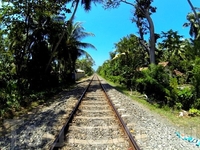 Железная дорога на Шри-Ланке - считается самой красивой "веткой" в мире!
