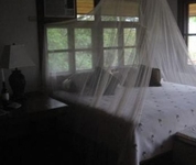 Starfish Reef Resort