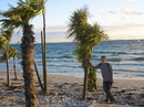 В Швеции такое короткое лето... что люди  сделали себе пляж с пальмами... Скажите, что мы в Швеции???