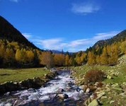 La Burna