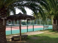 Simius Playa Hotel