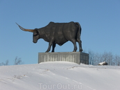 Символ города – статуя тура, под названием «Тарвас».
Статую изготовил эстонский скульптор Тауно Кангро, к 700-й годовщине города в 2002 году. Ее длина– ...