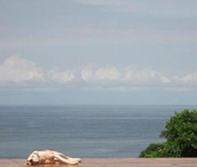 Buena Vista Surf Club